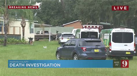 summerfield fl news|shooting in summerfield today.